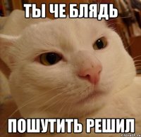 ты че блядь пошутить решил