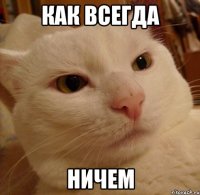 как всегда ничем