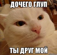 дочего глуп ты друг мой