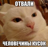 отвали человечины кусок