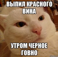 выпил красного вина утром черное говно