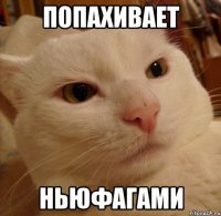 попахивает ньюфагами