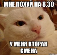 мне похуй на 8.30 у меня вторая смена