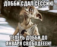 добби сдал сессию теперь добби до января свободееен!