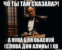 чо ты там сказала?! а нука бля обаснуй (слова дон алины ) xd