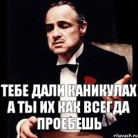 Тебе дали каникулах а ты их как всегда проебешь