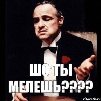 шо ты мелешь???