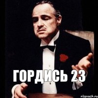 гордись 23