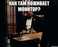 как там поживает монитор? 