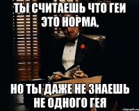 ты считаешь что геи это норма, но ты даже не знаешь не одного гея