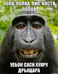 попа, попка, пип, костя попов уебок саси хуяру дрыщара