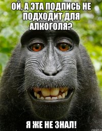 ой, а эта подпись не подходит для алкоголя? я же не знал!