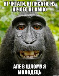 ні читати, ні писати. ну нічого не вмію але в цілому я молодець