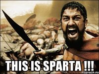  this is sparta !!!