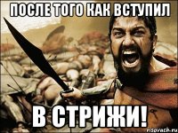 после того как вступил в стрижи!