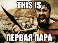 this is первая пара