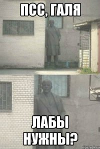 псс, галя лабы нужны?