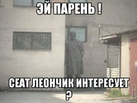 эй парень ! сеат леончик интересует ?