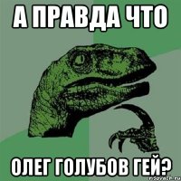 а правда что олег голубов гей?