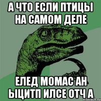 а что если птицы на самом деле елед момас ан ыцитп илсе отч а