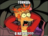 гонишь в натуре???