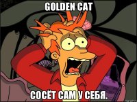 golden cat сосёт сам у себя.