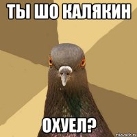 ты шо калякин охуел?