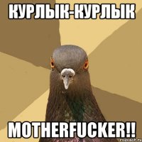 курлык-курлык motherfucker!!