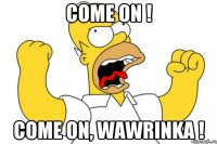 come on ! come on, wawrinka !