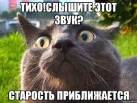 тихо!слышите этот звук? старость приближается