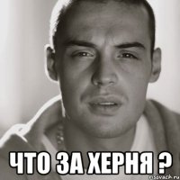  что за херня ?