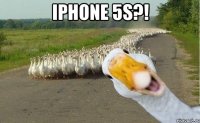 iphone 5s?! 