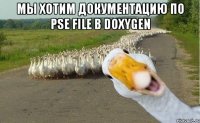 мы хотим документацию по pse file в doxygen 