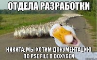 отдела разработки никита, мы хотим документацию по pse file в doxygen