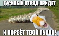 гусиный отряд придёт и порвёт твой пукан!