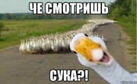 че смотришь сука?!