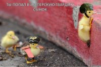 Ты попал в Имперскую гвардию, сынок.