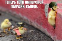 Теперь ты в имперской гвардии, сынок.