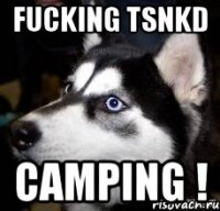 fucking tsnkd camping !