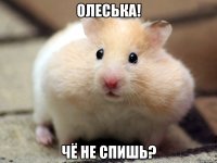 олеська! чё не спишь?