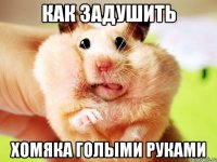 как задушить хомяка голыми руками