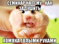 семинар на тему - как задушить хомяка голыми руками