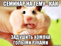 семинар на тему - как задушить хомяка голыми руками