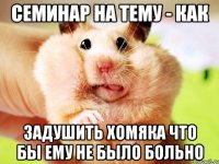 семинар на тему - как задушить хомяка что бы ему не было больно