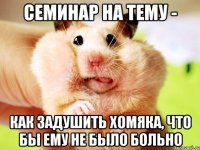 семинар на тему - как задушить хомяка, что бы ему не было больно