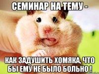 семинар на тему - как задушить хомяка, что бы ему не было больно !