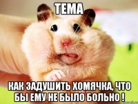 тема как задушить хомячка, что бы ему не было больно !