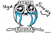 завтра алгебра?