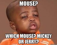 mouse? which mouse? mickey or jerry?