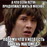 а что если петух продолжает жить в москве, потому что у него есть парень магомед?